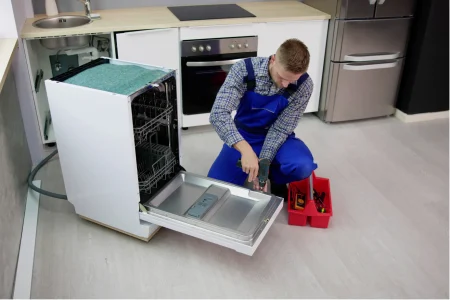 Dishwasher Repairing issues (1)